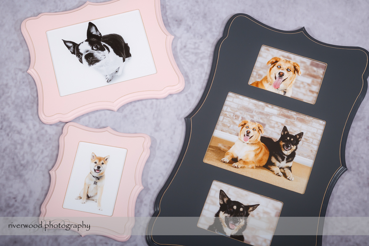 Product Showcase – Specialty Frames for Dog Day 2014