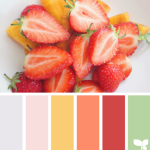 Sample Color Palette from Design Seeds - Fresh Cut Color