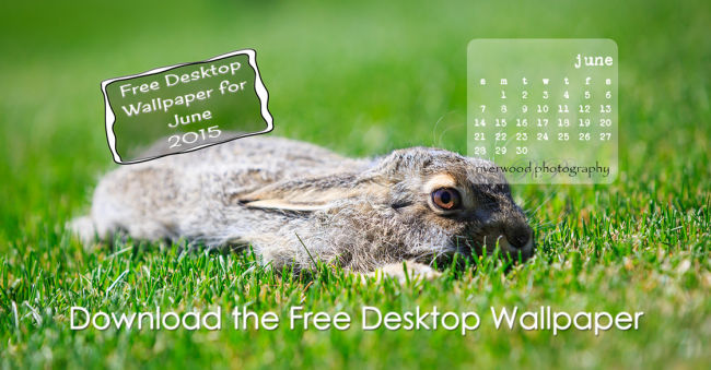 Free Desktop Wallpaper Calendar for June 2015