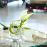 Lamborghini Calgary Grand Opening