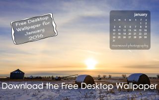 Free Desktop Wallpaper for January 2016