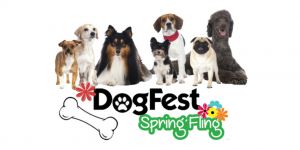 DogFest Spring Fling 2017