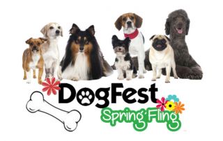 DogFest Spring Fling 2017