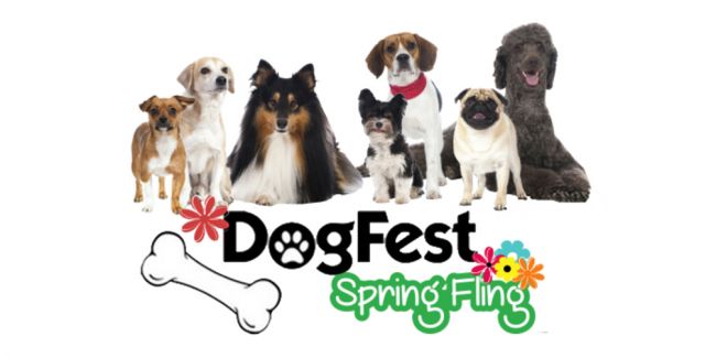 DogFest Spring Fling 2017