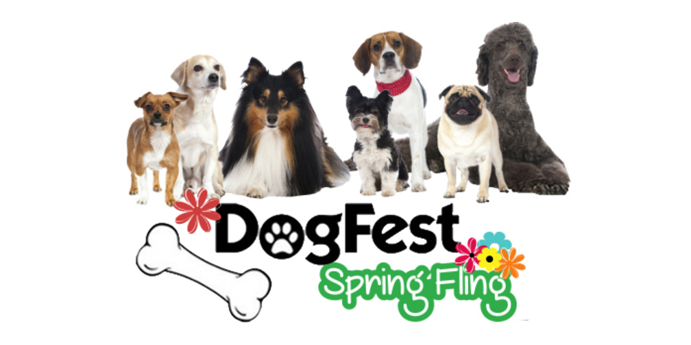 DogFest Spring Fling 2017