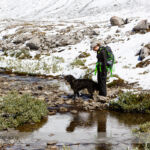 Wilcox Pass Hike