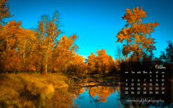 Download the iPad Wallpaper for October 2010 (1024x768)