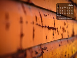 Download the iPad Wallpaper for November 2010 (1024x768)