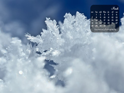 Download the iPad Wallpaper for March 2011 (1024x768)