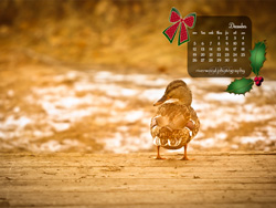 Download the Dual Monitor Wallpaper for December 2011 (3360x1150) 